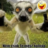 ahabala